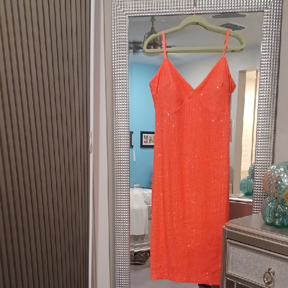 NWT Siena Women's Sleeveless Sequin Mesh A-Line Dress Vibrant Coral SZ 14